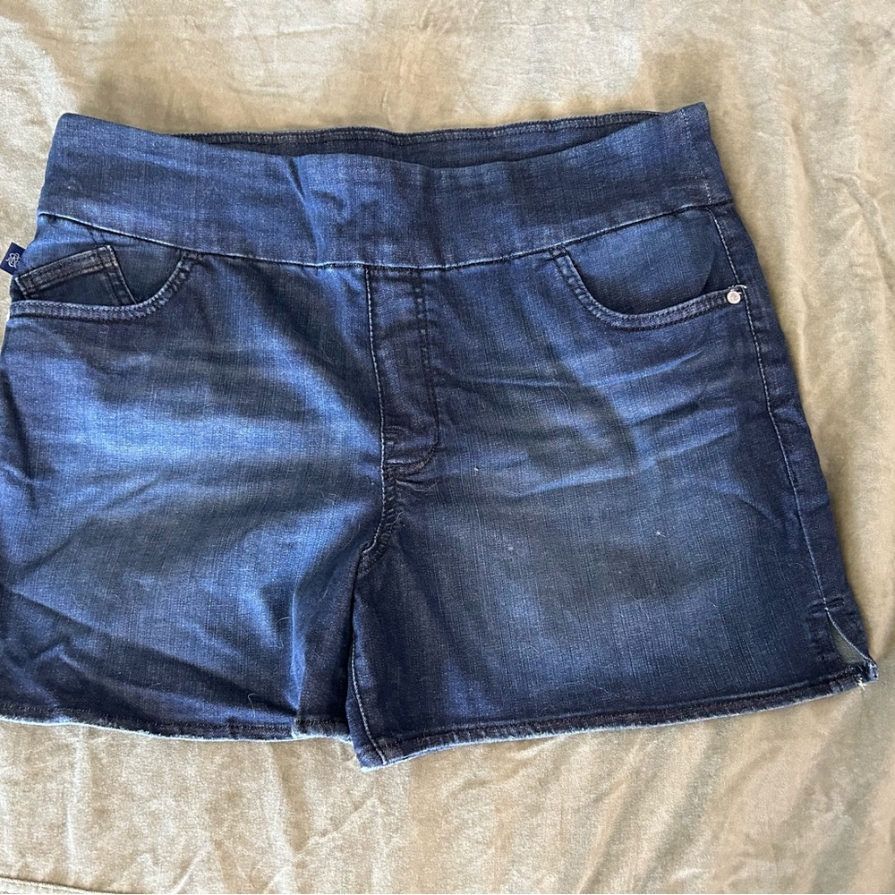 #65 Rock & Republic Dark Blue Jean Shorts